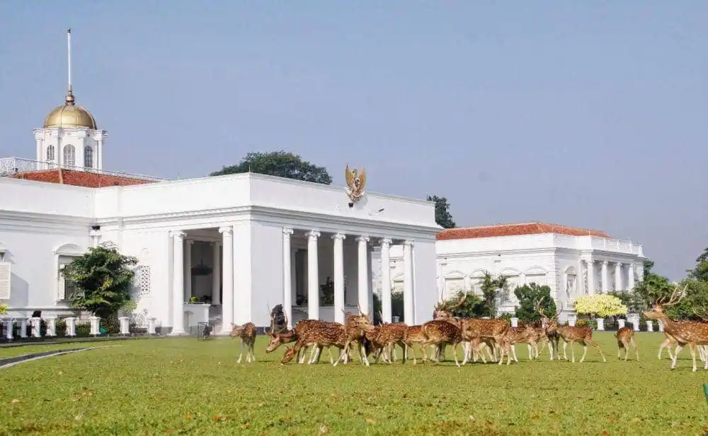 Pertemuan Kabinet Merah Putih Dijadwalkan Berlangsung di Istana Bogor