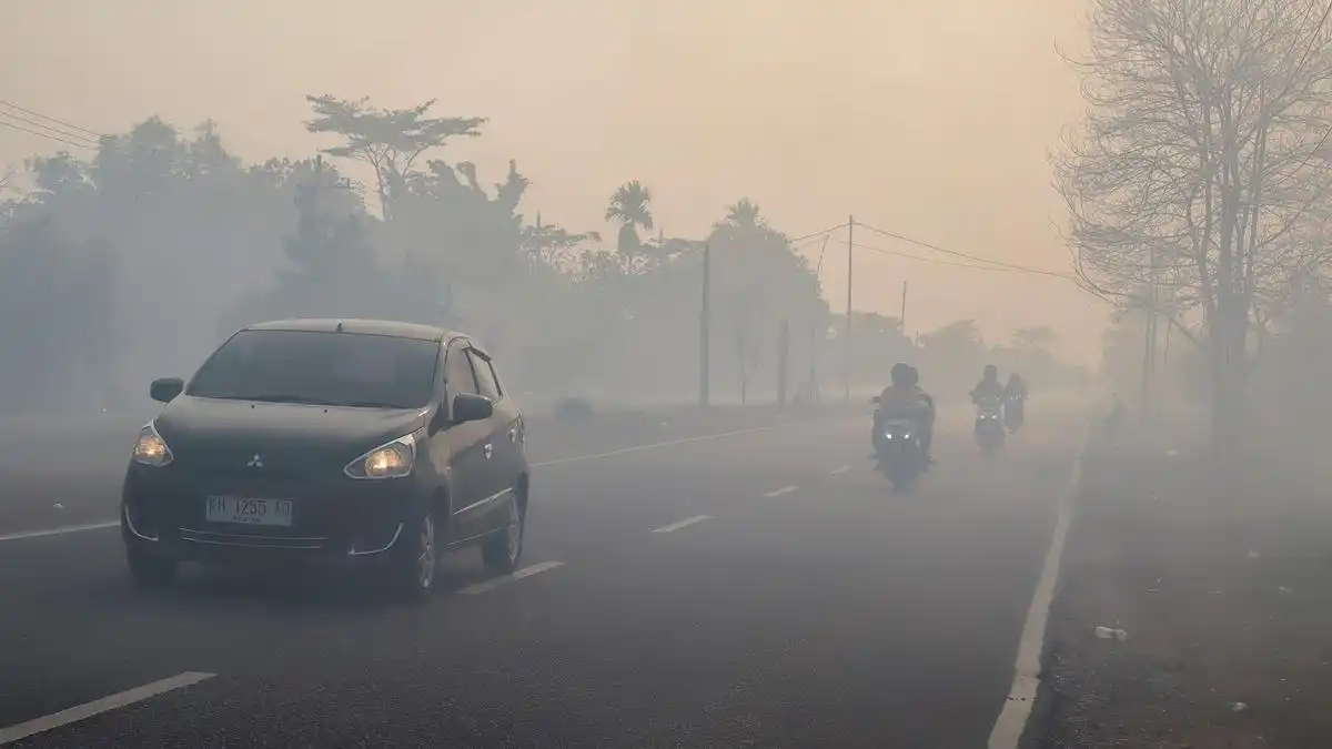 Prakiraan Cuaca Indonesia: Hujan Berpeluang Turun di Sejumlah Kota Kalimantan