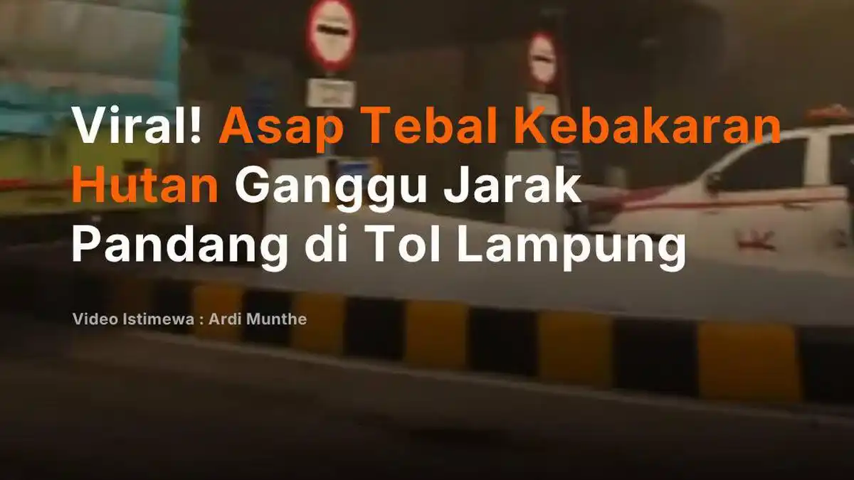 Asap Kebakaran Lahan Ganggu Pengendara di Tol Terpeka Lampung
