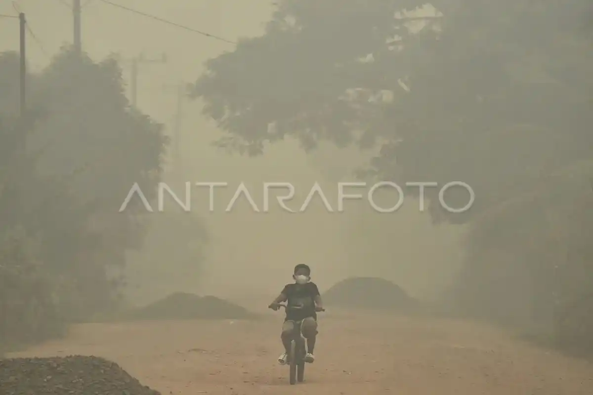 Sorotan Peristiwa Indonesia: Asap Karhutla, Warisan Purba, dan Tradisi