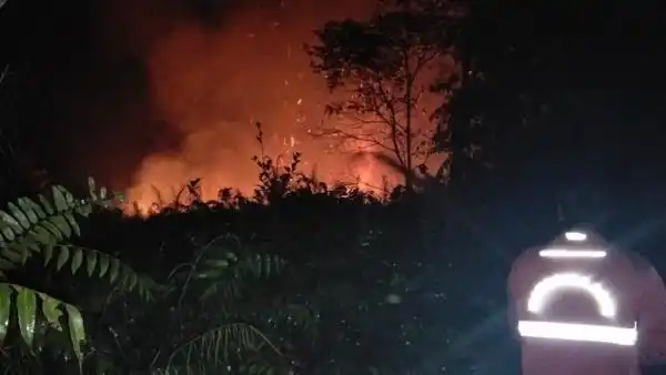 WALHI Minta Pengusutan Karhutla Menjangkau Korporasi dan Pengawas
