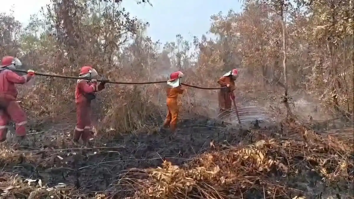 Puluhan Anomali Suhu Terpantau di Lampung Timur, Mayoritas di Way Kambas