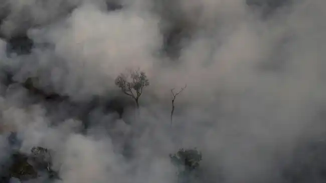 Dari Karhutla Indonesia ke Amazon: Asap dan Kebakaran Meluas di Tengah El Niño
