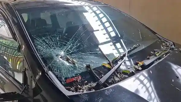 Pohon Tumbang Timpa Mobil yang Berhenti di Lampu Merah Rantauprapat