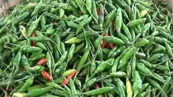 Harga Pangan Nasional Melemah pada Awal Pekan, Cabai Rawit Hijau Turun Paling Dalam