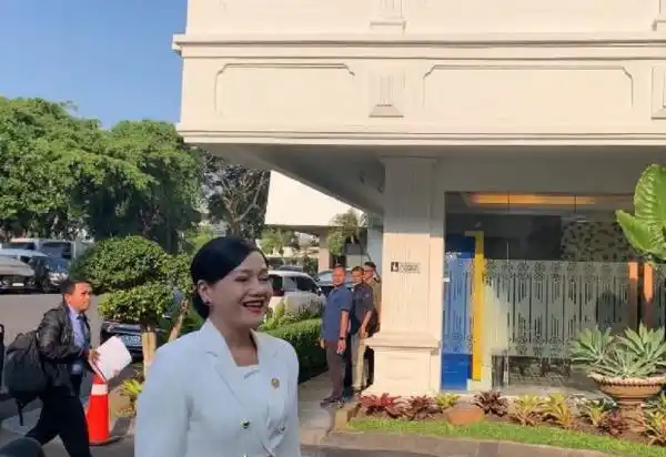 Pertemuan di Istana Saat Status Pasar Saham Indonesia Disorot