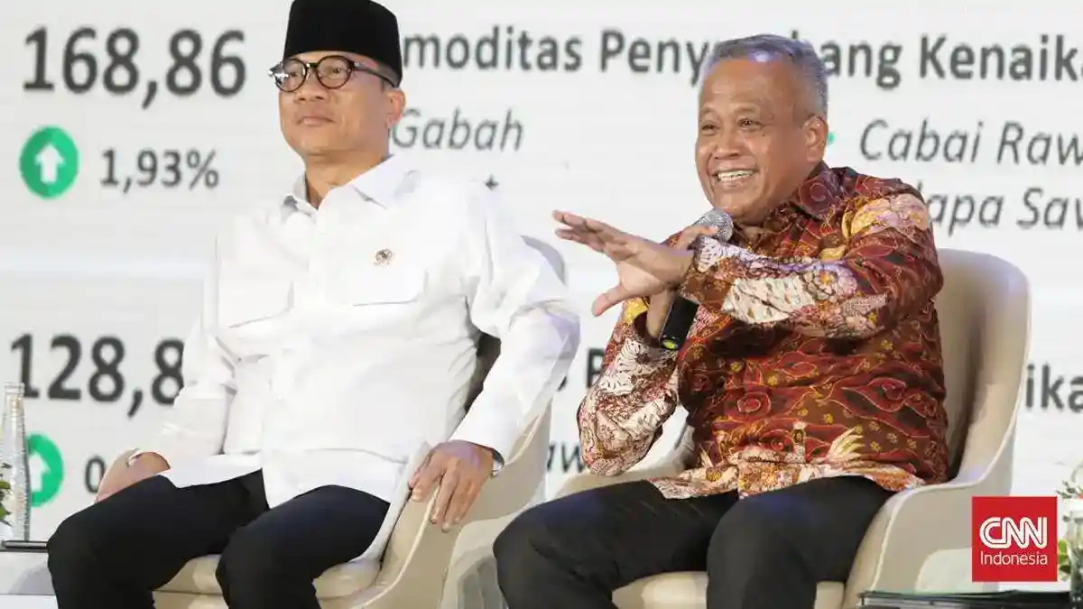 Harga Beras Tetap Tinggi di Tengah Stok Bulog Melimpah, Ini Penjelasan Pemerintah