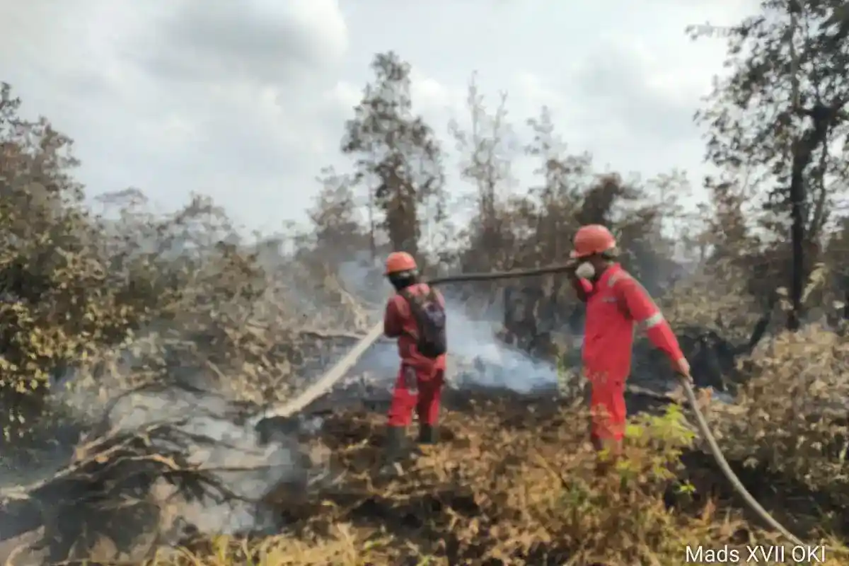 Asap Tebal Jadi Prioritas Penanganan Karhutla di Sumsel