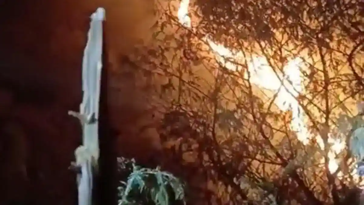 Kebakaran di Jalur Gajahmungkur, 71 Pendaki Sumbing Turun dengan Selamat