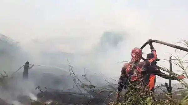 Api Gambut Kembali Berkobar di Sampit, Pemadaman Terkendala Asap dan Lalu Lintas