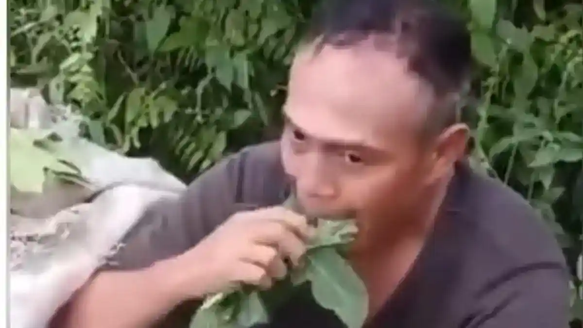 Dua Pria Diduga Ambil Daun Pepaya di Deli Serdang, Polisi Klarifikasi Peristiwa Viral