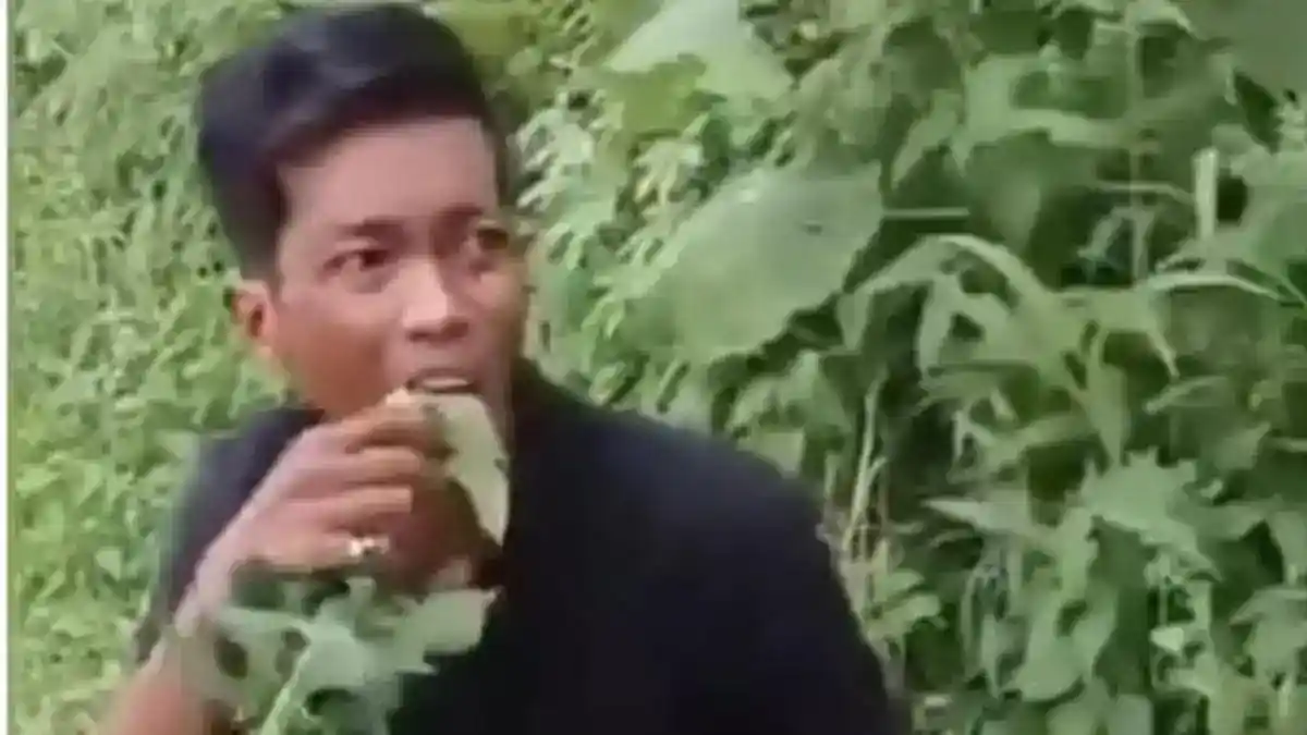 Video Dua Terduga Pencuri Pepaya di Deli Serdang Jadi Perhatian Warganet