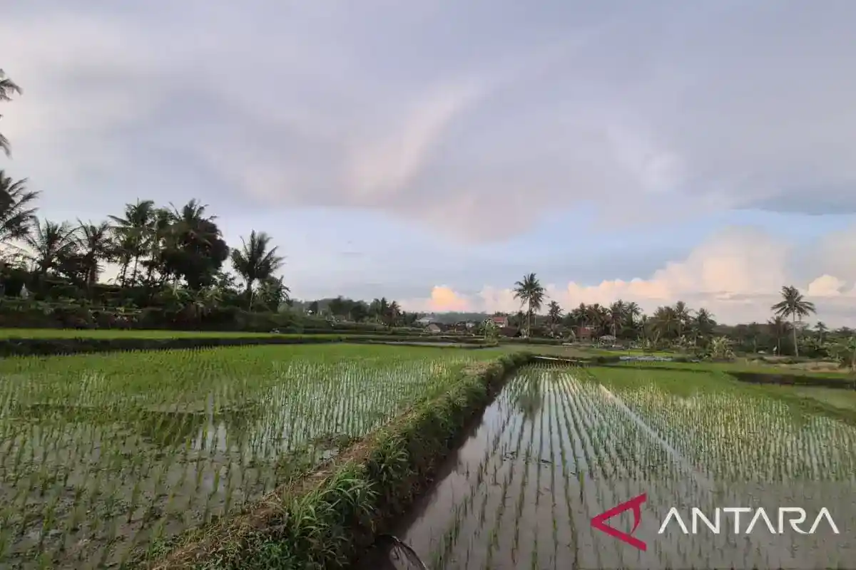 Rp334 Miliar Disiapkan untuk Irigasi Pertanian Kabupaten Bandung